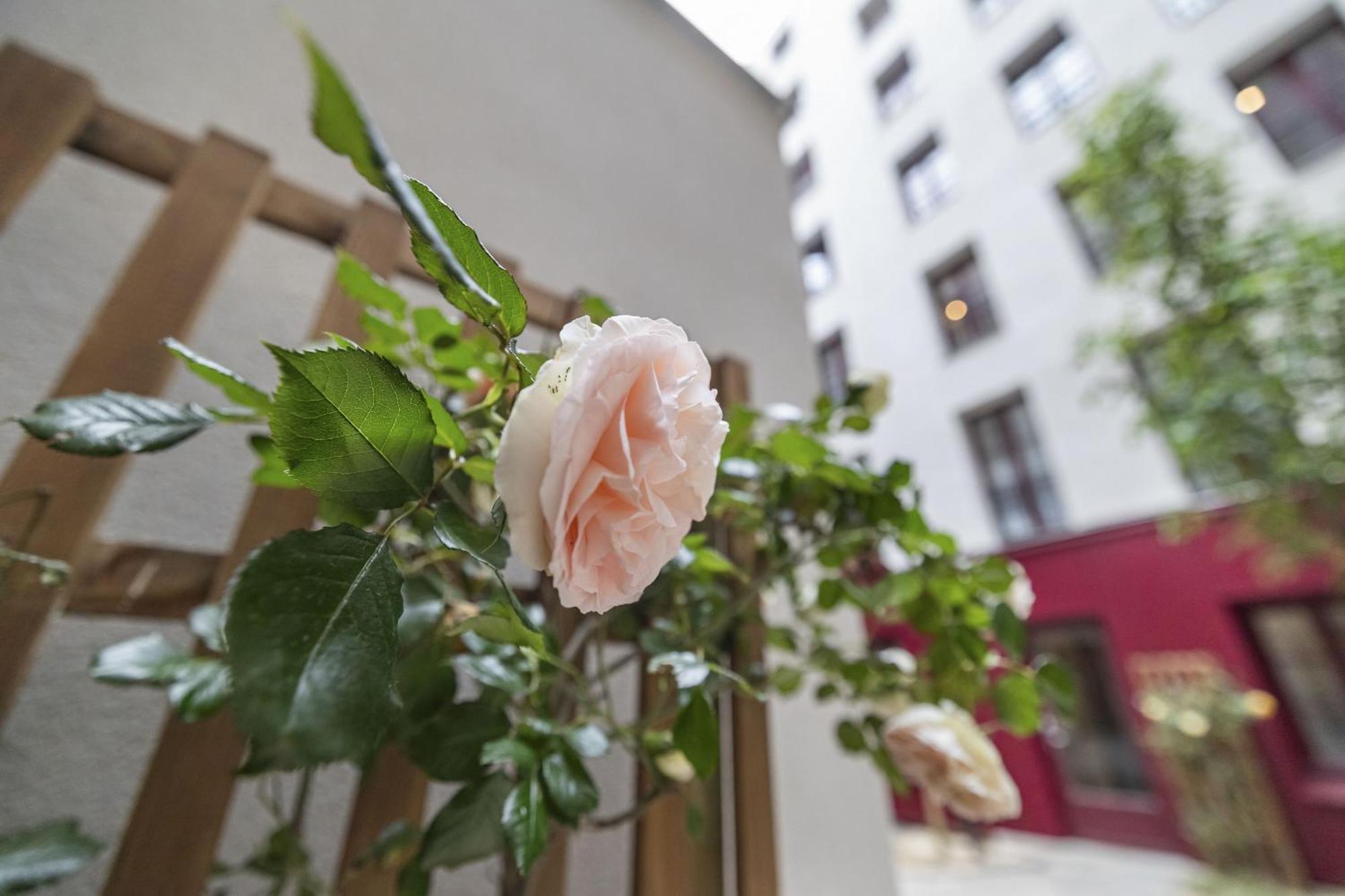 Apartamento Out Of Africa París Exterior foto